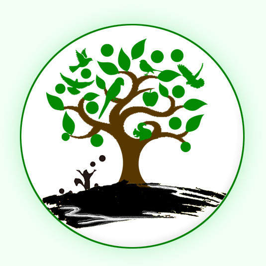 扬州光电科技的LOGO