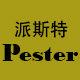 派斯特新型装饰材料的LOGO
