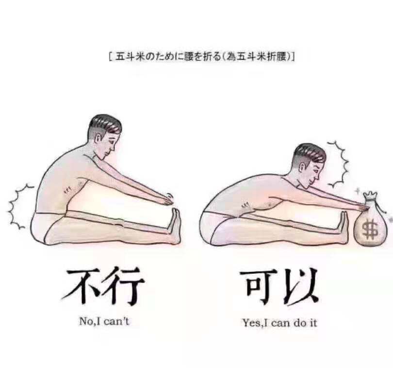 丽宁车品店
