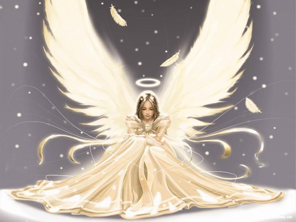 天使严选好物店