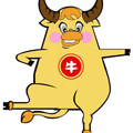 阿牛运动装备企业店的LOGO