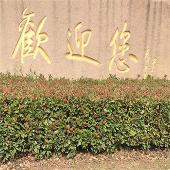 依依紫砂花盆店