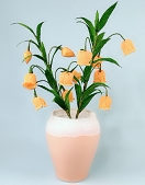倾慕花坊