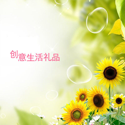 创意生活礼品