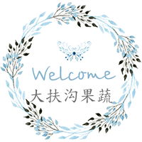 大扶沟五香牛肉