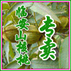 山宝食品店的LOGO