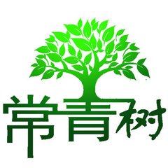 常青的小铺