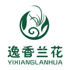 浙江逸香兰花
