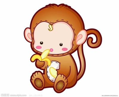 云南特色水果及果树苗绿化苗供应