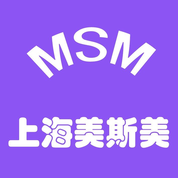 上海美斯美精密机械的LOGO