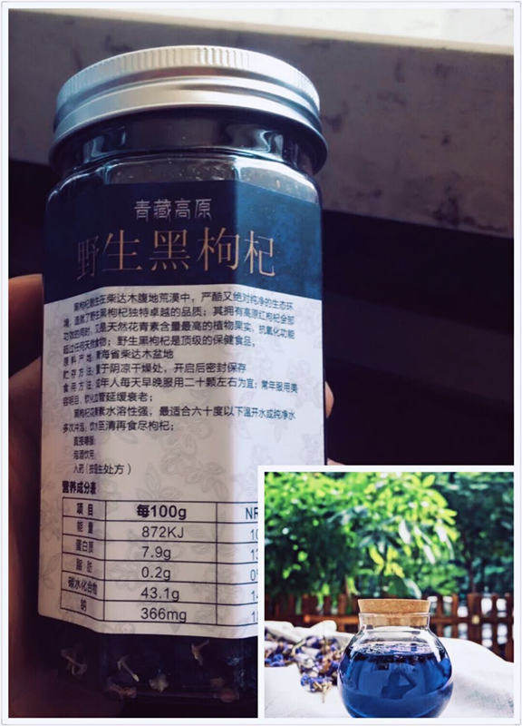 小海家冬虫夏草的LOGO
