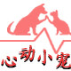 心动小宠