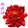 牡丹坊手工编织的LOGO