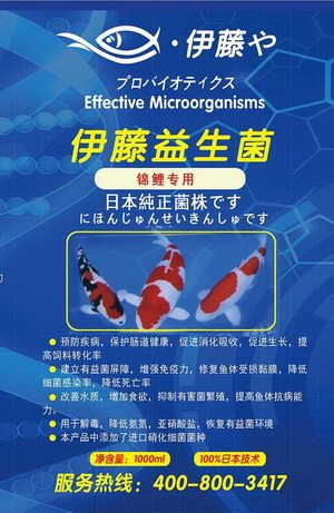 日本进口锦鲤药品专业店