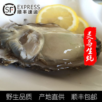 小美聪的LOGO