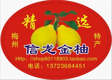 梅州信龙柚场的LOGO