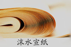 夹江县沫水宣纸厂的LOGO