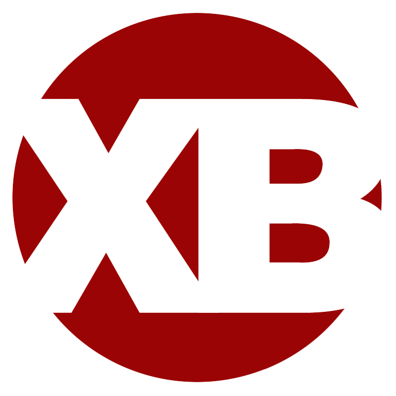 迅邦国际的LOGO