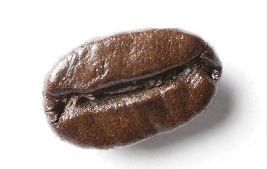 LiFe Coffee的LOGO