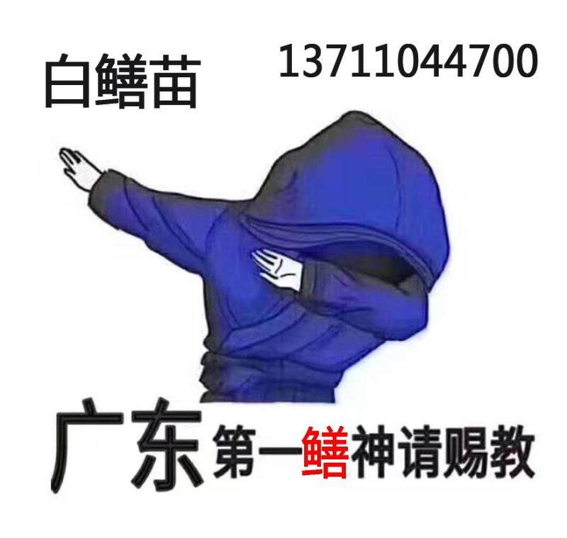 华记鳗鱼