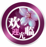 玻璃贴设计