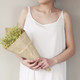 舒雅静美