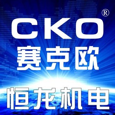 乐清市恒龙机电有限公司企业店的LOGO