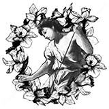 Narcissus滞水之影