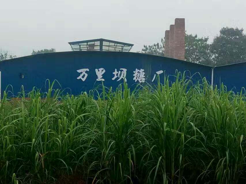 万里坝红糖厂