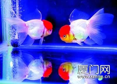 广州珠江水族馆