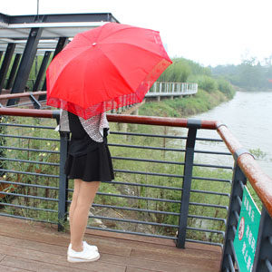 永康市江南费颐雨伞加工厂