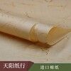 天阳纸行的LOGO