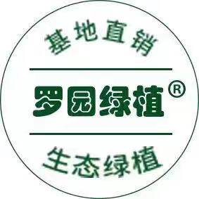 罗园绿植品牌店的LOGO