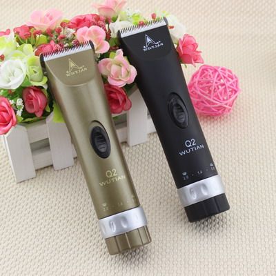 艾迪美发电器