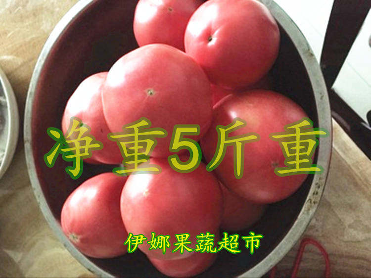 产地直销支持各平台一件代发的LOGO