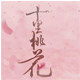 花鹿街演出服直销店