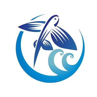 飞鱼运动 17年老店 只售正品的LOGO