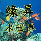 非凡趣宠