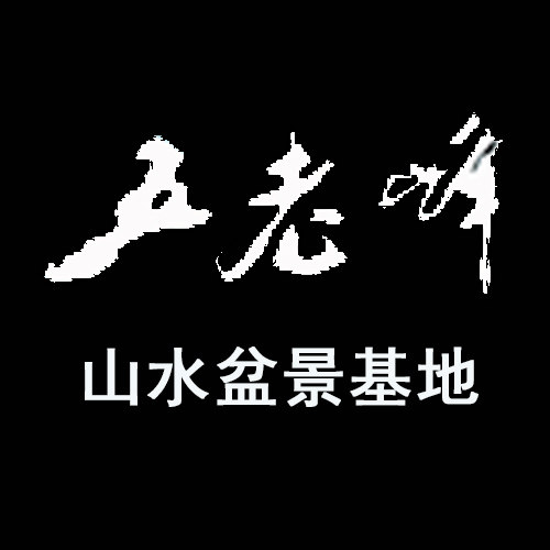 五老峰吸水石盆景批发零售