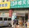 杀蟑灭虫 蟑螂药 蚁药 上门灭蟑等服务的LOGO