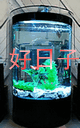 好日子水族厂的LOGO