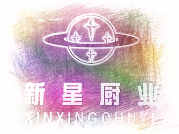 合肥新星厨具的LOGO