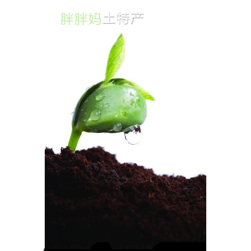 水泥仿木仿石护栏厂的LOGO