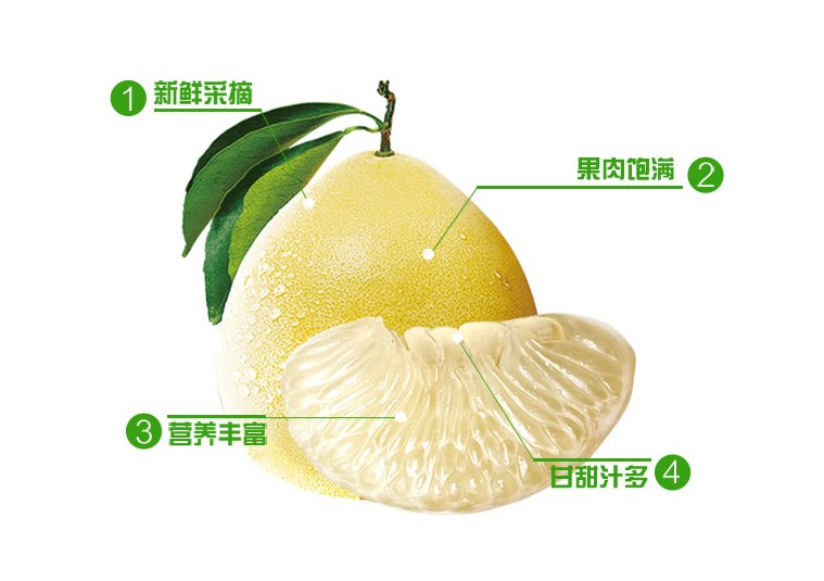 安福金兰柚基地