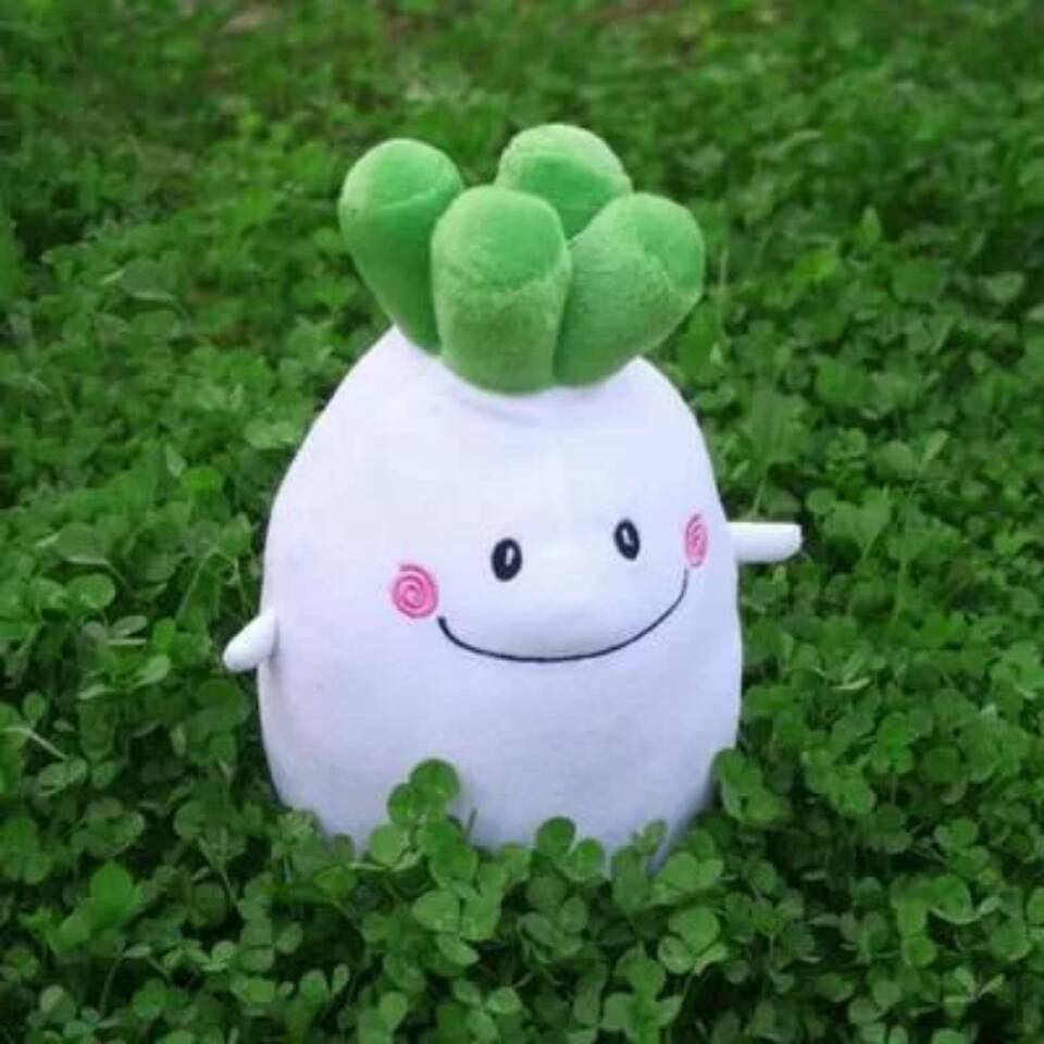 爱牙爱牙