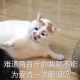 小古米西