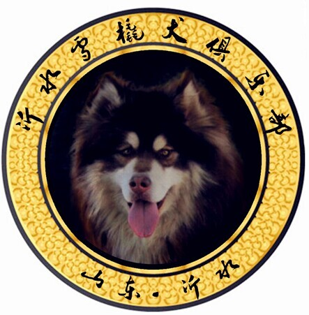 雪域宠舍