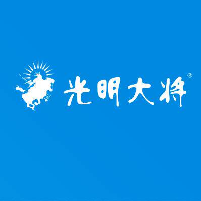 光明大将移动照明