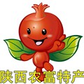陕西农富特产