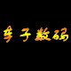 车子数码商城